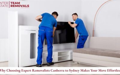 Why Choosing Expert Removalists Canberra to Sydney Makes Your Move Effortless