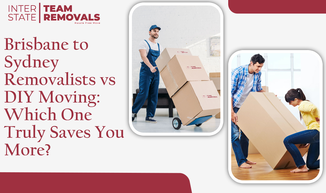 brisbane to sydney removalists